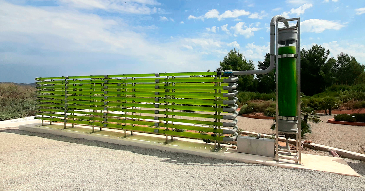 botanico biotecnologico bibo park ibiza