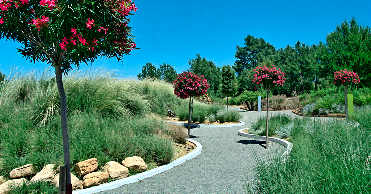 habitat dunar bibo park