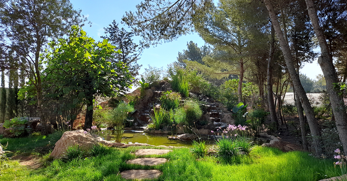 rincon de platon bibo park