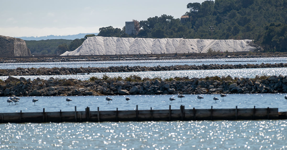 parque natural ses salines sal