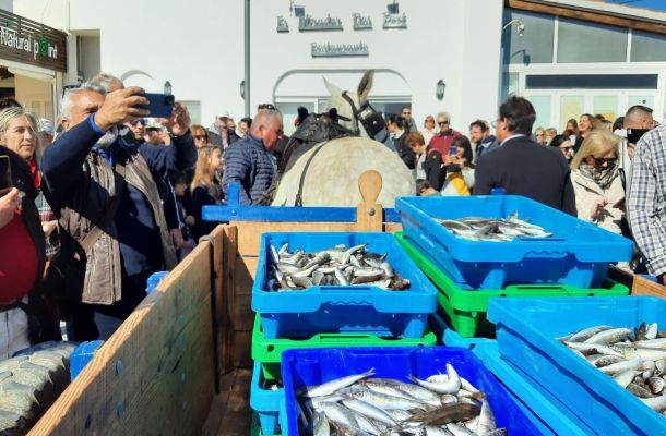 Fira des Gerret Santa Eulària des Riu