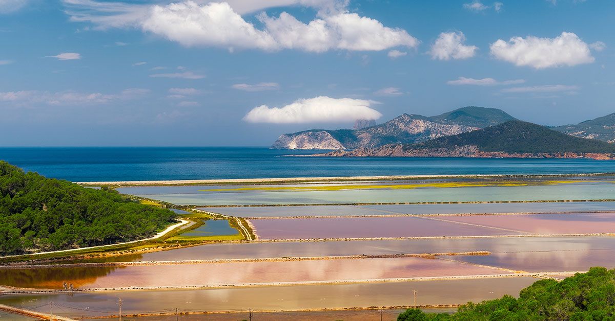 Ver flamencos en Ibiza es posible en el Parque Natural de Ses Salines